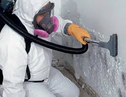 Best Forensic Mold Investigation in USA